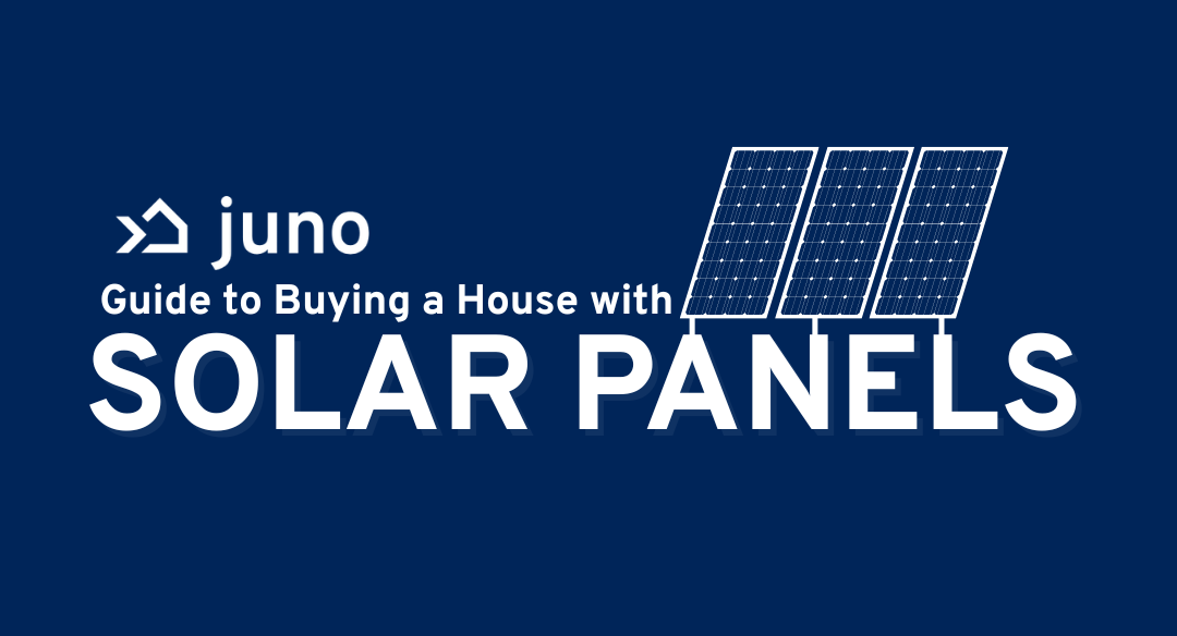 The Juno guide to buying a house with solar panels thumbnail